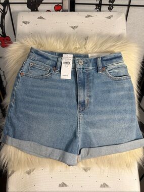 American Eagle Outfitters Light Blue Denim Roll-Cuff Jean Shorts